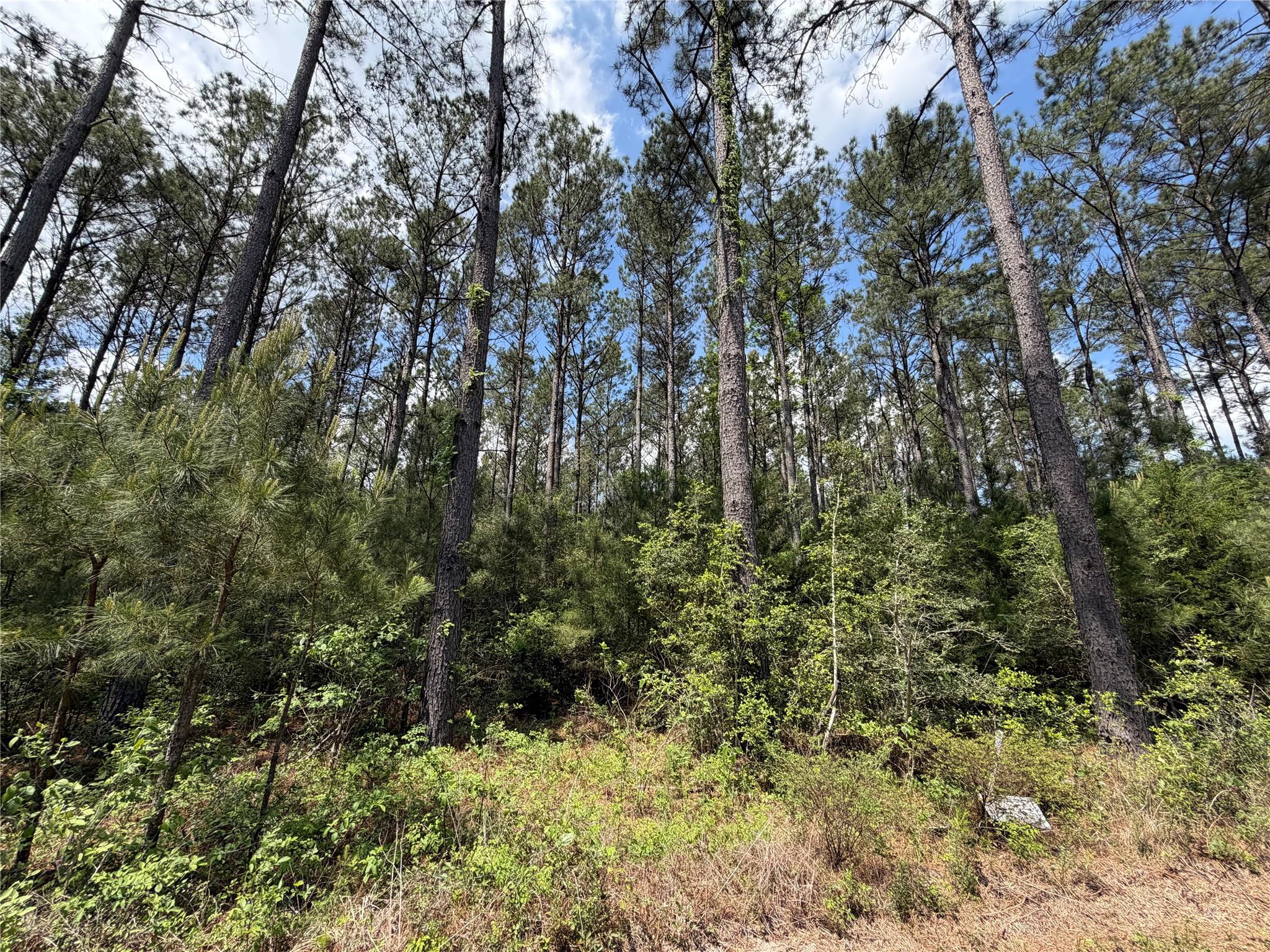 15693 Wooded Trail Way