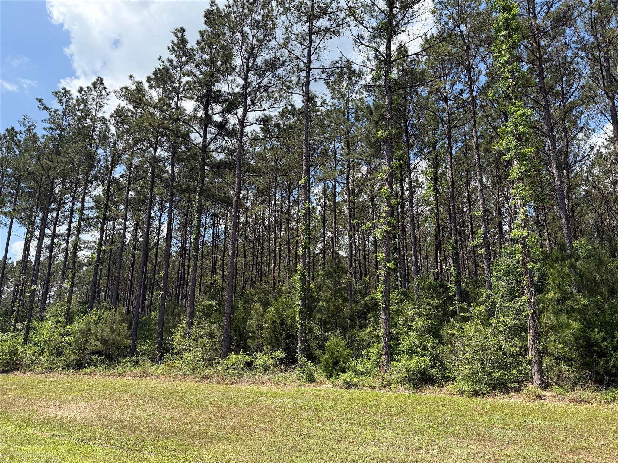 15693 Wooded Trail Way