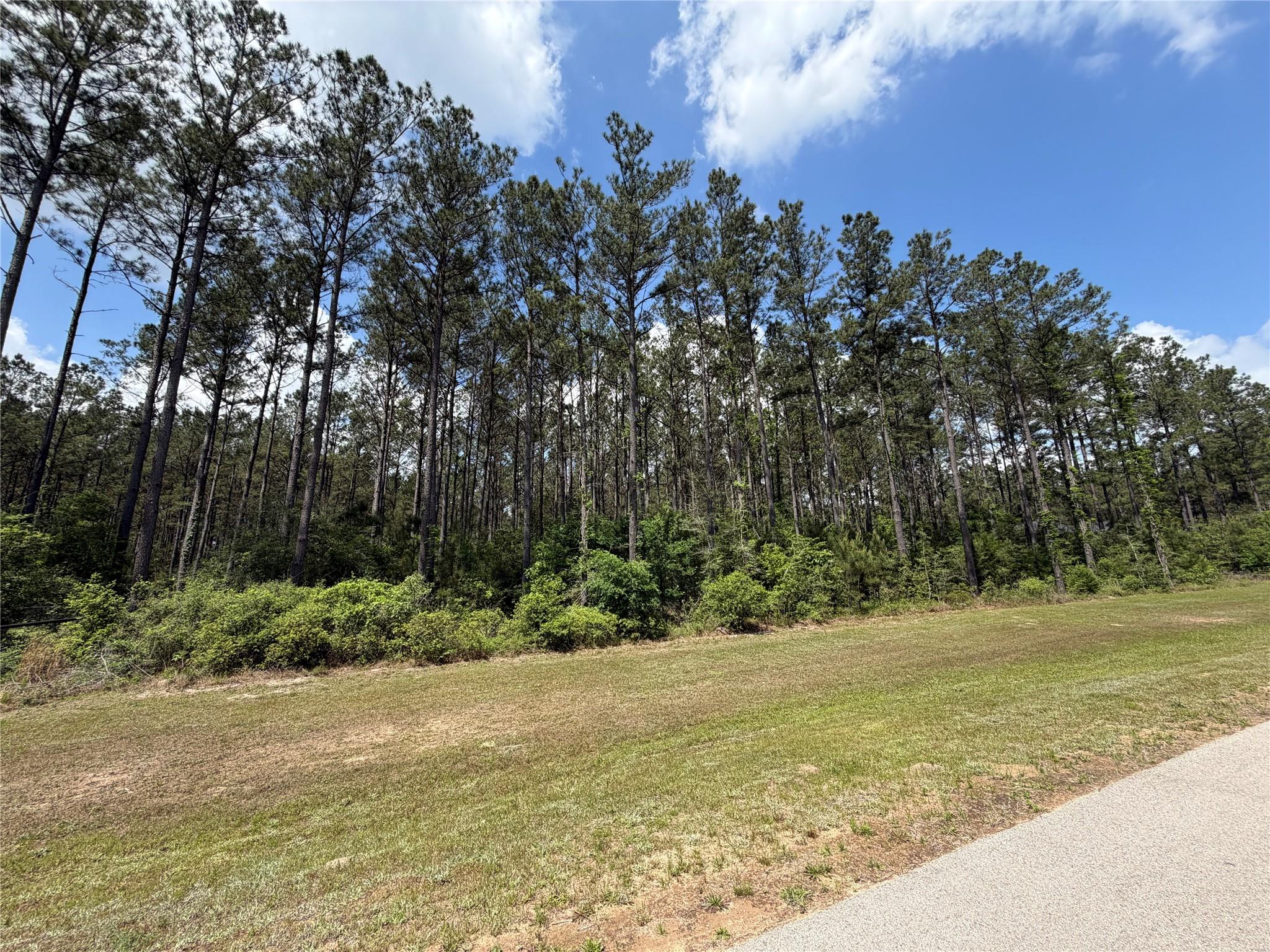 15693 Wooded Trail Way