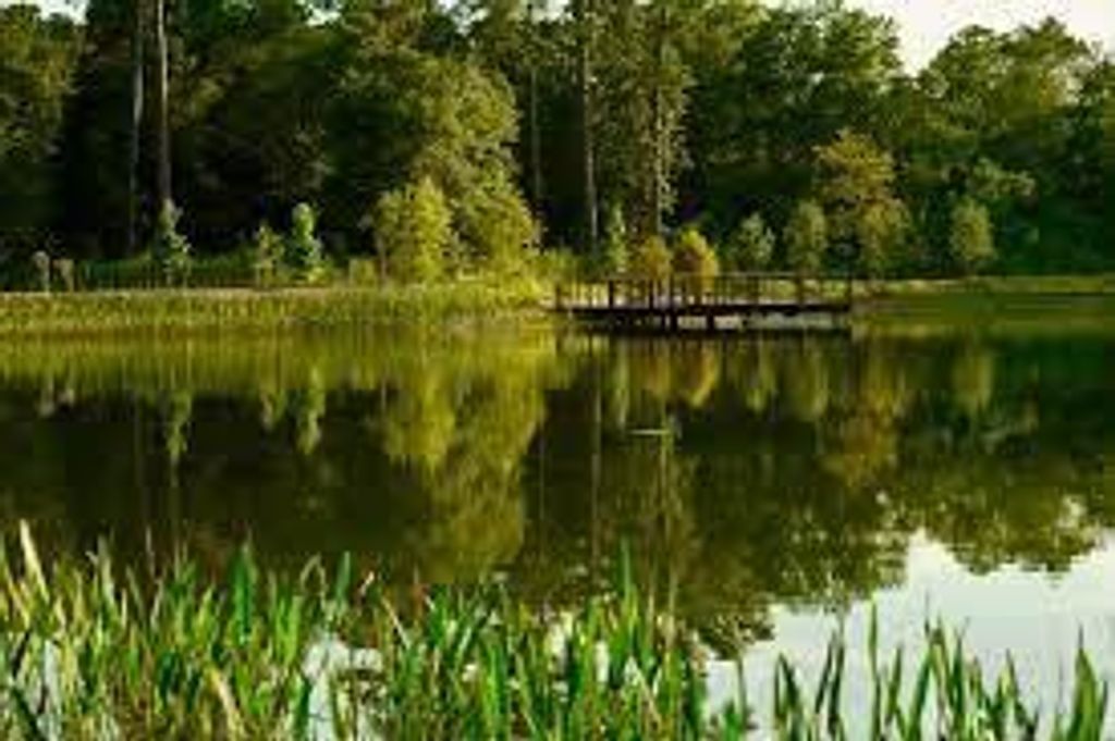 Photo of 160 Birdsall Street #2313, Houston, TX 77007 (MLS # 41817665)