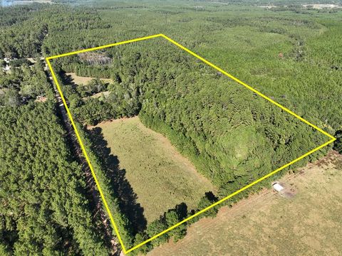 Vacant Land For Sale - 2357 County Road 4850<br/> Warren, TX 77664