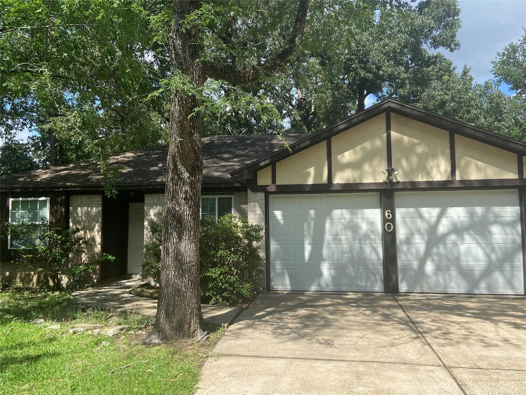 Photo of 60 Oldstream Court, The Woodlands, TX 77381 (MLS # 10479462)
