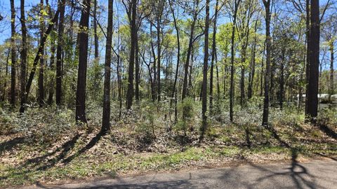 Photo of 0 Firewood Dr, Conroe, TX 77303 (MLS # 94650448)