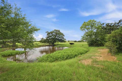 Photo of 6 Holly Cemetery Road, Franklin, TX 77856 (MLS # 93278049)