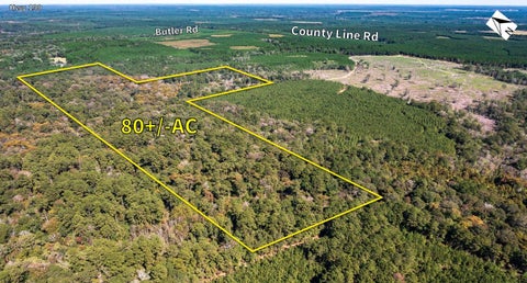 Photo of TBD Butler Road, Livingston, TX 77351 (MLS # 74728886)