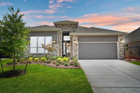 Photo of 316 Goldeneye Duck Drive, Waller, TX 77447 (MLS # 47392563)