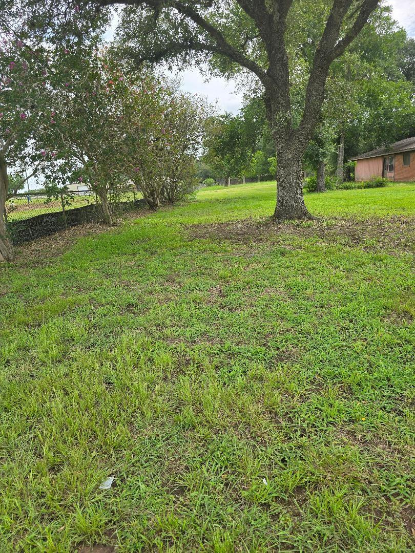 2420 Fm 1094 Road