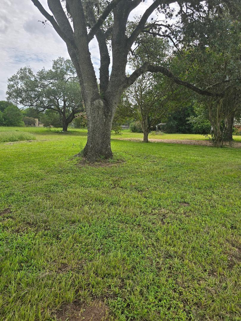 2420 Fm 1094 Road