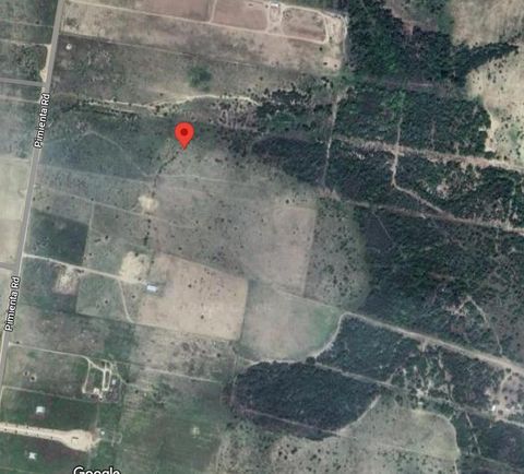 Vacant Land For Sale - 1770 Pimienta Road<br/> Starr County, Rio Grande City, TX 78582