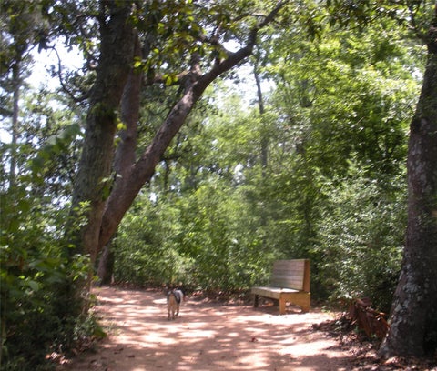 Vacant Land For Sale - 10039 Fm 787 Road<br/> Liberty County, Cleveland, TX 77327