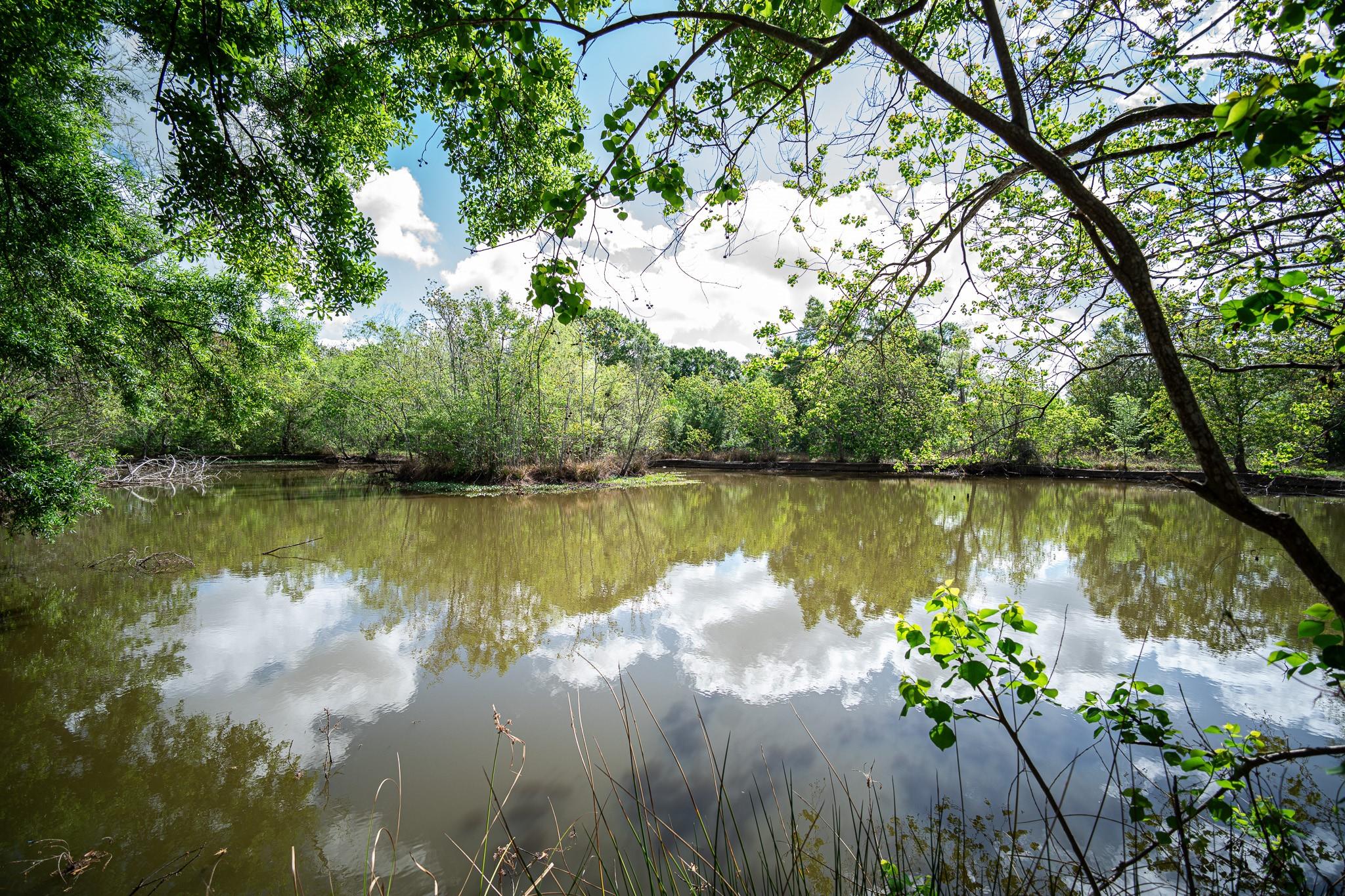 1930 Cartwright Road