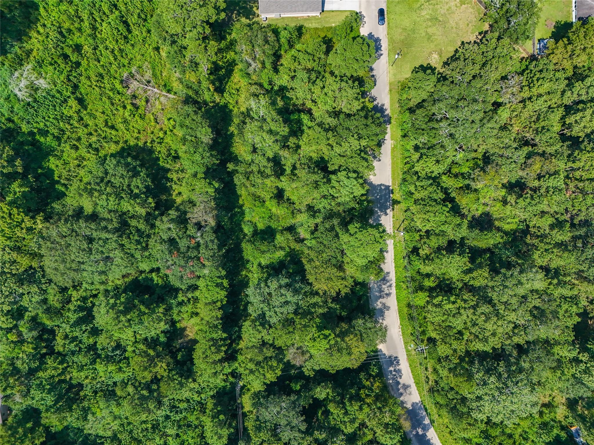 TBD Lot 16 Hickory Lane