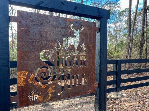 Photo of 1 Fm 350, Livingston, TX 77351 (MLS # 80543724)