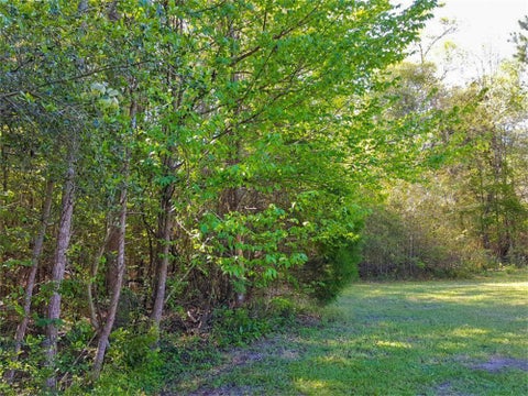 Vacant Land For Sale - TBD Borger<br/> Livingston, TX 77351