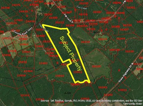 Vacant Land For Sale - Tx-87<br/> Burkeville, TX 75932