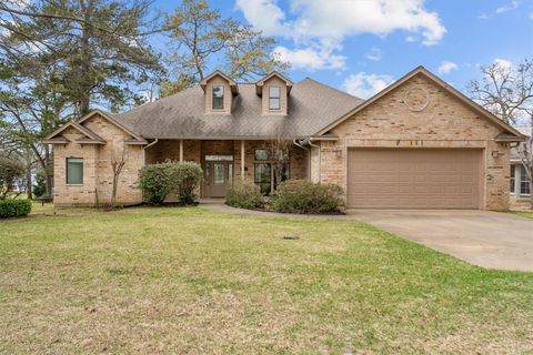 Tiny photo for 341 Lakeview Drive, Grapeland, TX 75844 (MLS # 63548712)