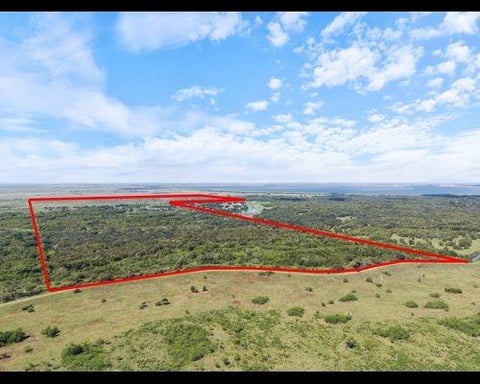 Photo of 0 Cr 391 Robbins Slough Rd, College Port, TX 77457 (MLS # 82960179)