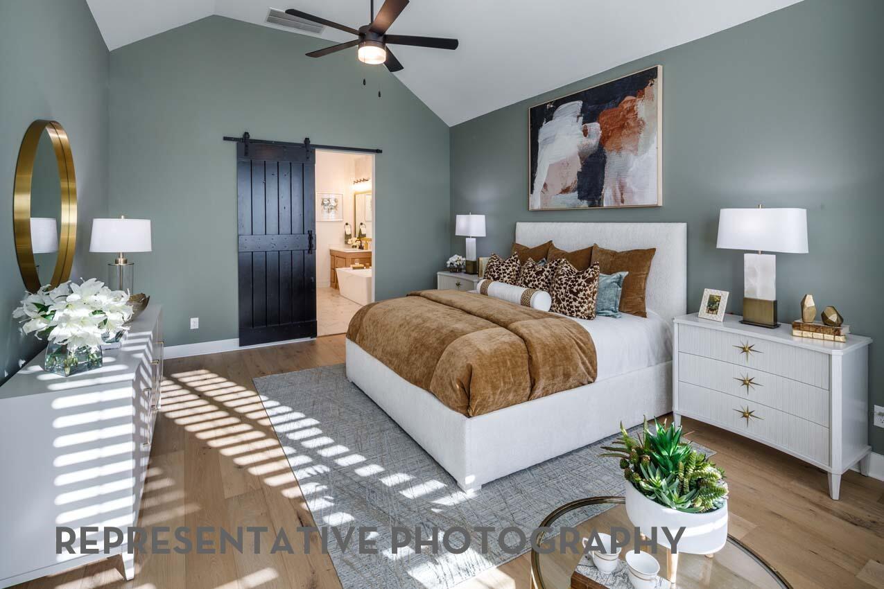 26207 Moonlight Bliss Street