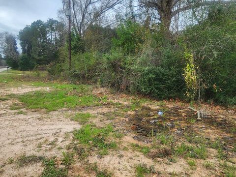 Photo of 170 S Railroad Avenue, Shepherd, TX 77371 (MLS # 49342187)
