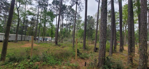 Photo of 451 N Higgins Road, Shepherd, TX 77371 (MLS # 75115349)