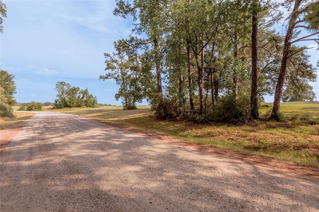 Photo of 2 Charleston Street, Trinity, TX 75862 (MLS # 29358080)