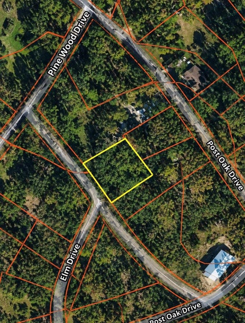 Vacant Land For Sale - TBD Walnut Road<br/> Huntsville, TX 77320