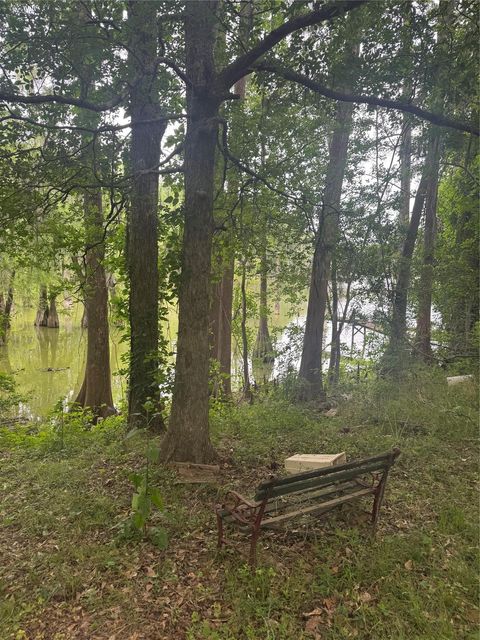 Tiny photo for 45 County Road 2859, Cleveland, TX 77327 (MLS # 11462444)