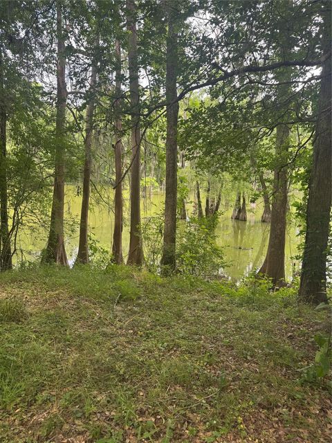Tiny photo for 45 County Road 2859, Cleveland, TX 77327 (MLS # 11462444)