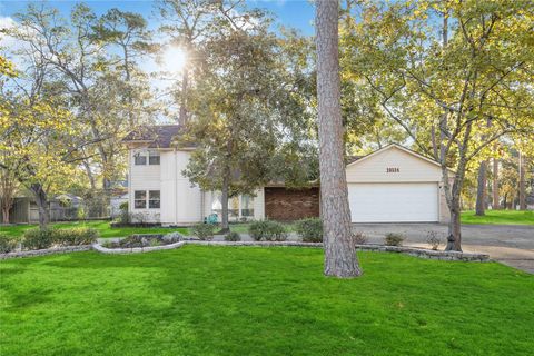 Photo of 20534 Appaloosa Trail, Crosby, TX 77532 (MLS # 8369725)