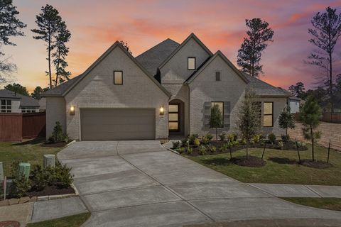 Photo of 12846 Forest Garden Court, Conroe, TX 77302 (MLS # 44539921)