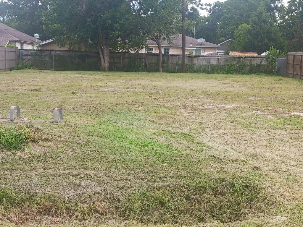 Photo of 6217 Willow Dale Street, Houston, TX 77087 (MLS # 74098768)