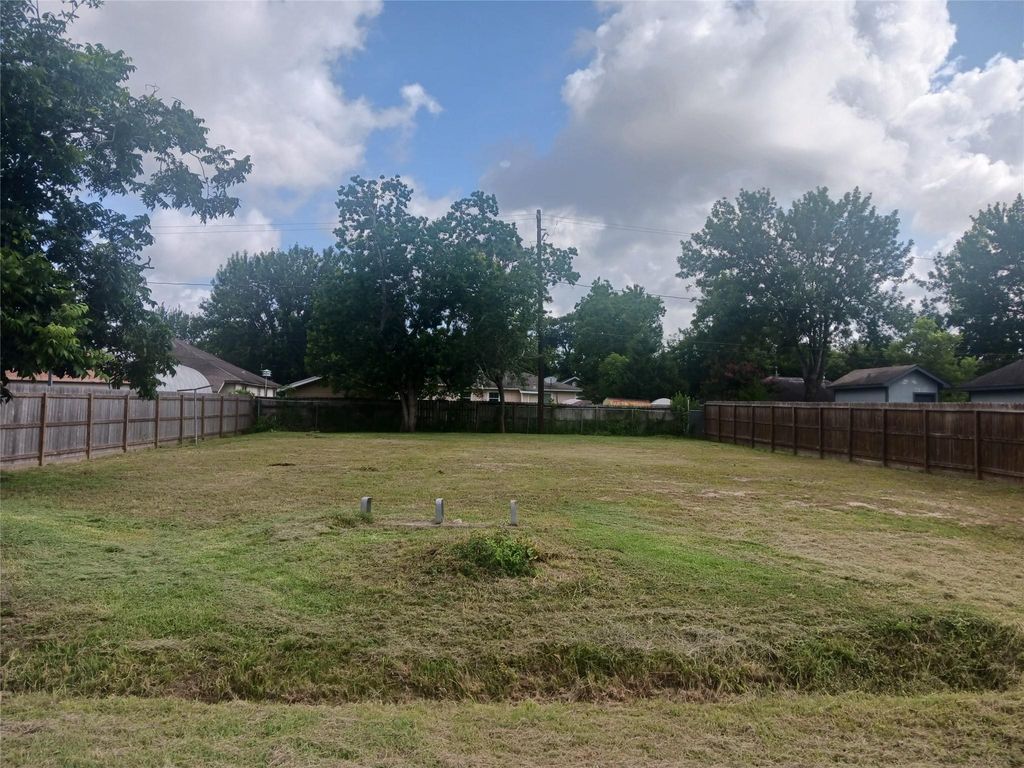 Photo of 6217 Willow Dale Street, Houston, TX 77087 (MLS # 74098768)