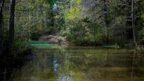 Vacant Land For Sale - 3773 W Sh 7<br/> Houston County, Crockett, TX 75823