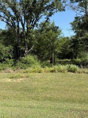 ADDRESS PRIVATE, MARQUEZ, TX 77865 - Image ca0983a551ccac547d78cc3dcccdf2fd/2612878430