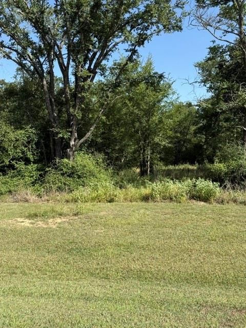 Photo of na Cr 377, Marquez, TX 77865 (MLS # 26061360)