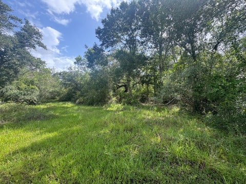 Photo of TBD Dewberry Lane, Louise, TX 77455 (MLS # 77218620)