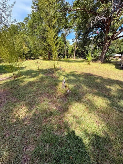 Photo of 1156 County Road 2132, Burkeville, TX 75932 (MLS # 69804320)