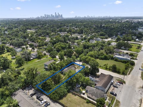 Photo of 3918 Wayne Street, Houston, TX 77026 (MLS # 36322345)