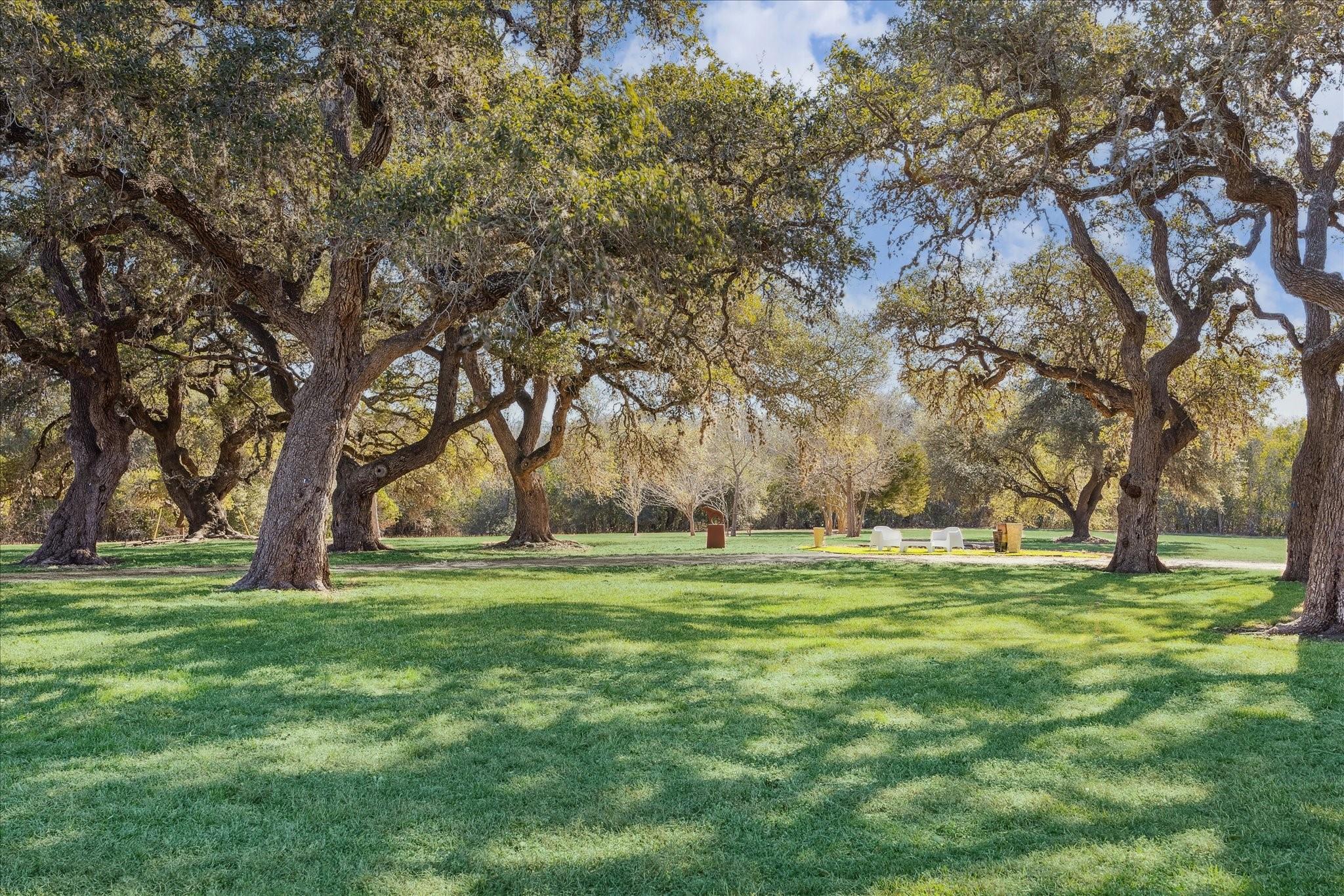 509 N Live Oak Street