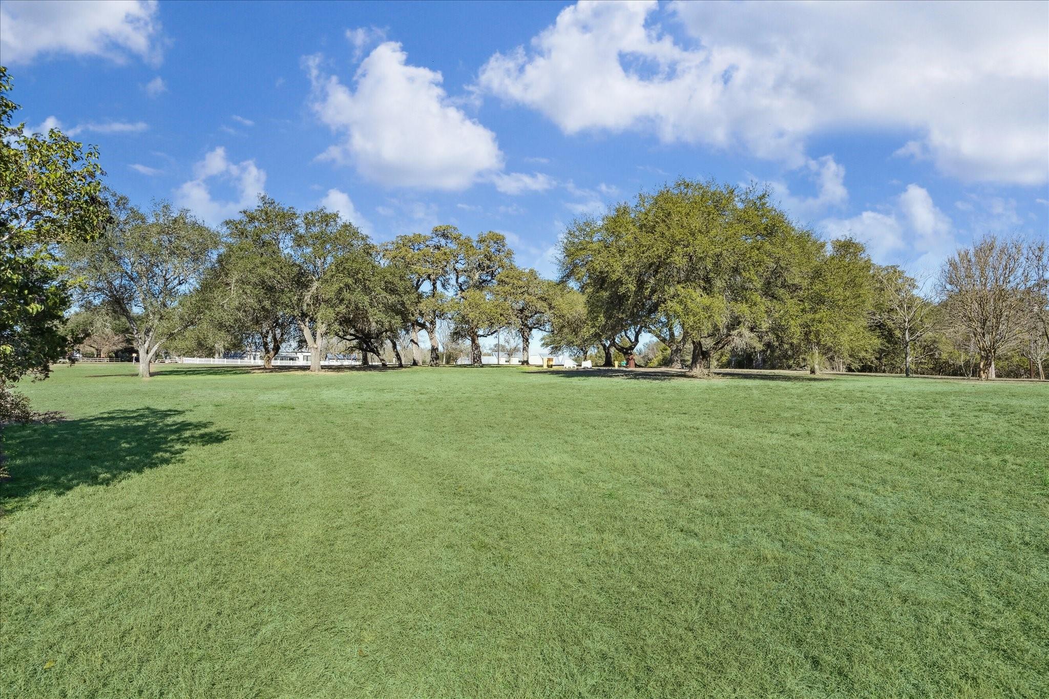 509 N Live Oak Street