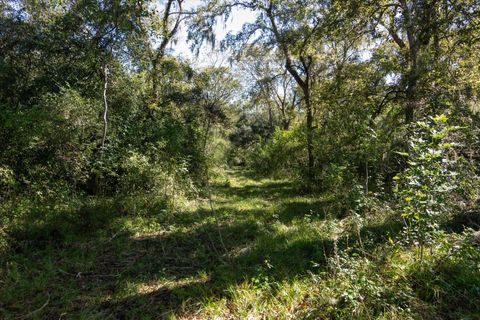 Photo of 0 Cr 611, Angleton, TX 77515 (MLS # 38332520)