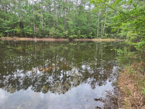 Photo of 0 Hortman Lane, Saratoga, TX 77585 (MLS # 8727709)