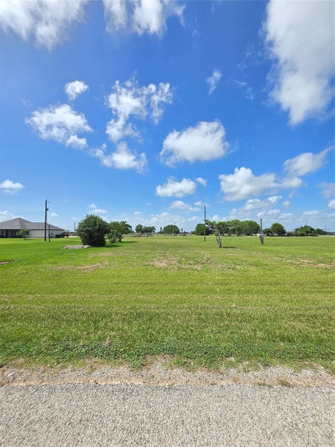 Photo of 1451 Curlew Drive, Palacios, TX 77465 (MLS # 71585135)