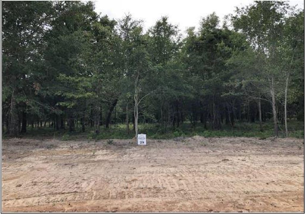 Photo of 1943 Fm 489 E, Fairfield, TX 75840 (MLS # 28920266)