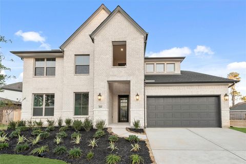 261 Warbler Song Drive Willis TX 77318