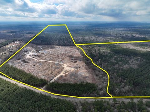 Vacant Land For Sale - 3 Fm 421<br/> Hardin County, Lumberton, TX 77625