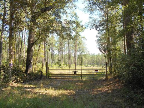 Photo of 0 Bragg Road, Kountze, TX 77625 (MLS # 49898637)