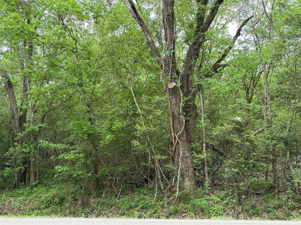 Photo of 0 Huffman-Eastgate Road, Huffman, TX 77336 (MLS # 7625794)