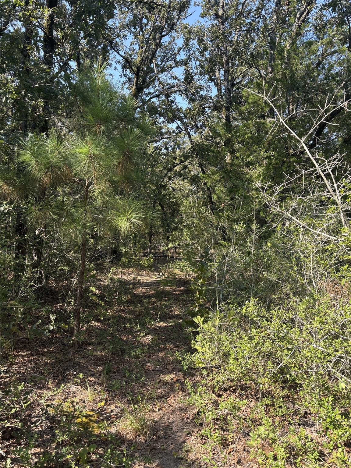 667 Paint Creek South Road