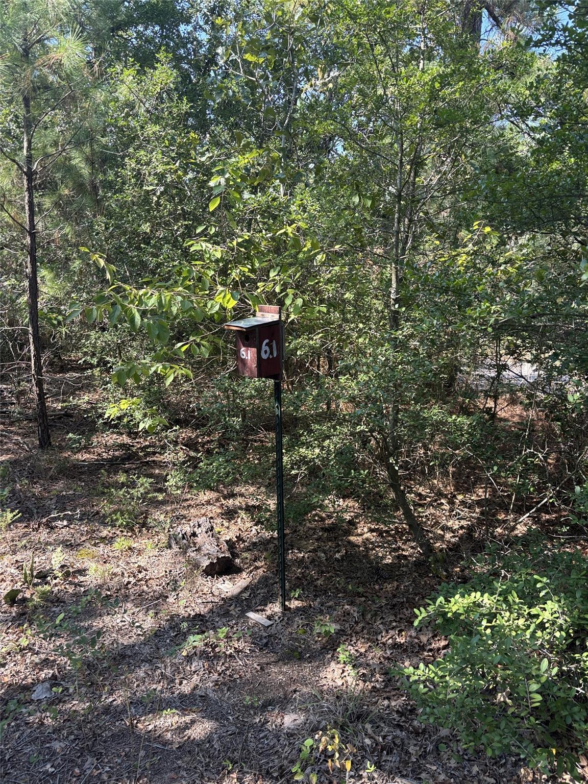 667 Paint Creek South Road